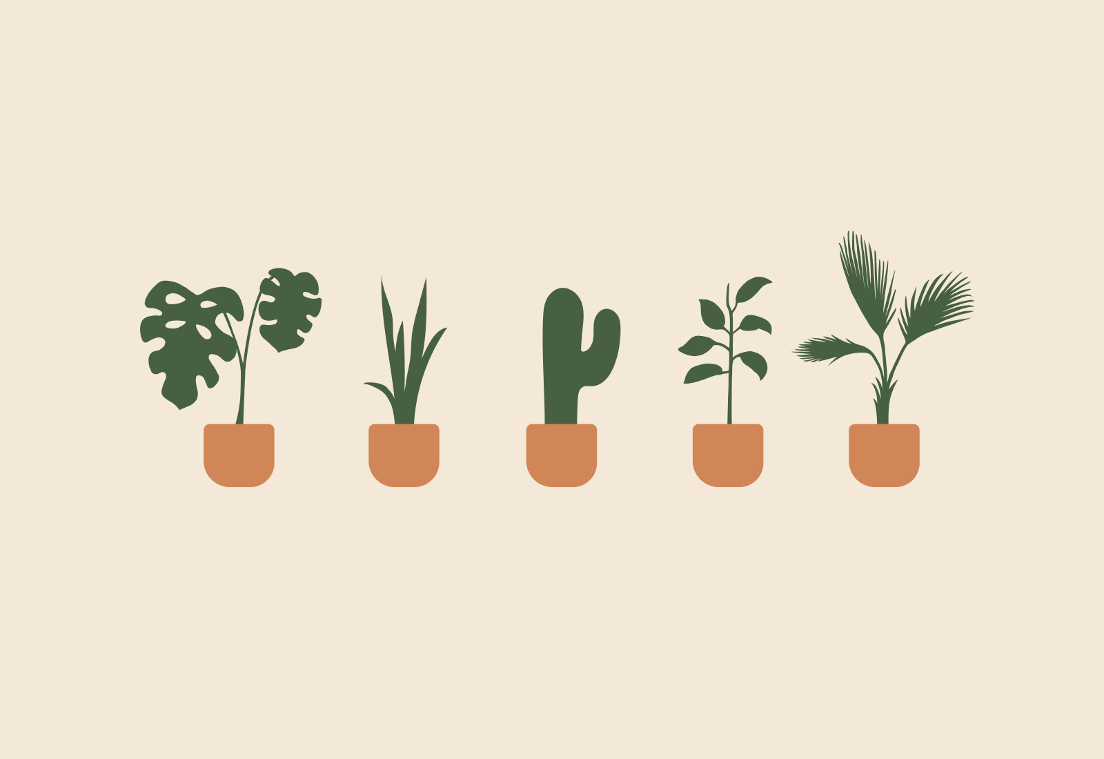 Plant Illustrations | Brand Identity for Plant Shop GR - Grand Rapids, MI