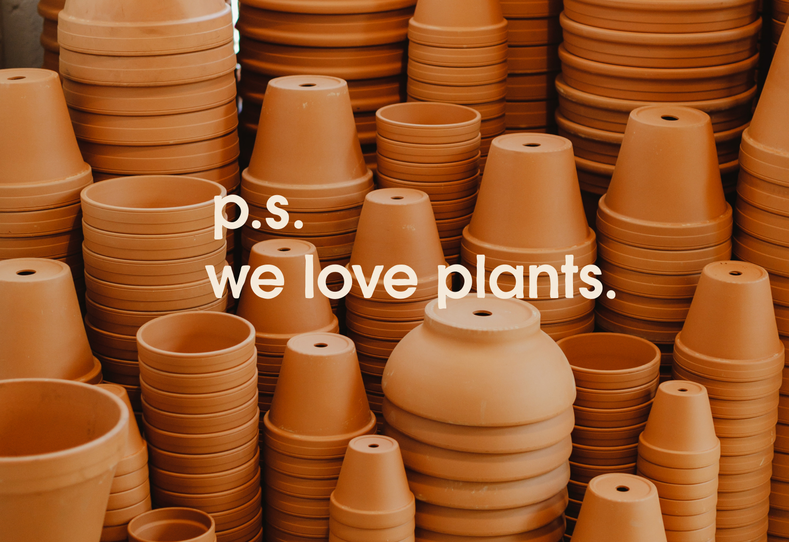 P.S. We Love Plants | Brand Identity for Plant Shop GR - Grand Rapids, MI