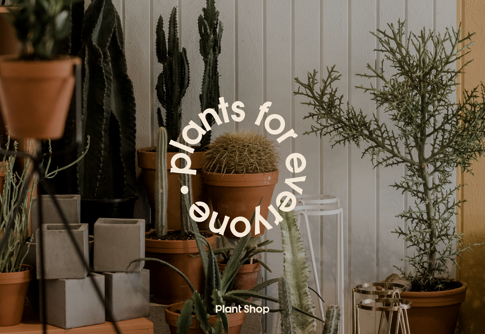 Plants for Everyone - Overtop a Photograph of Plants | Brand Identity for Plant Shop GR - Grand Rapids, MI