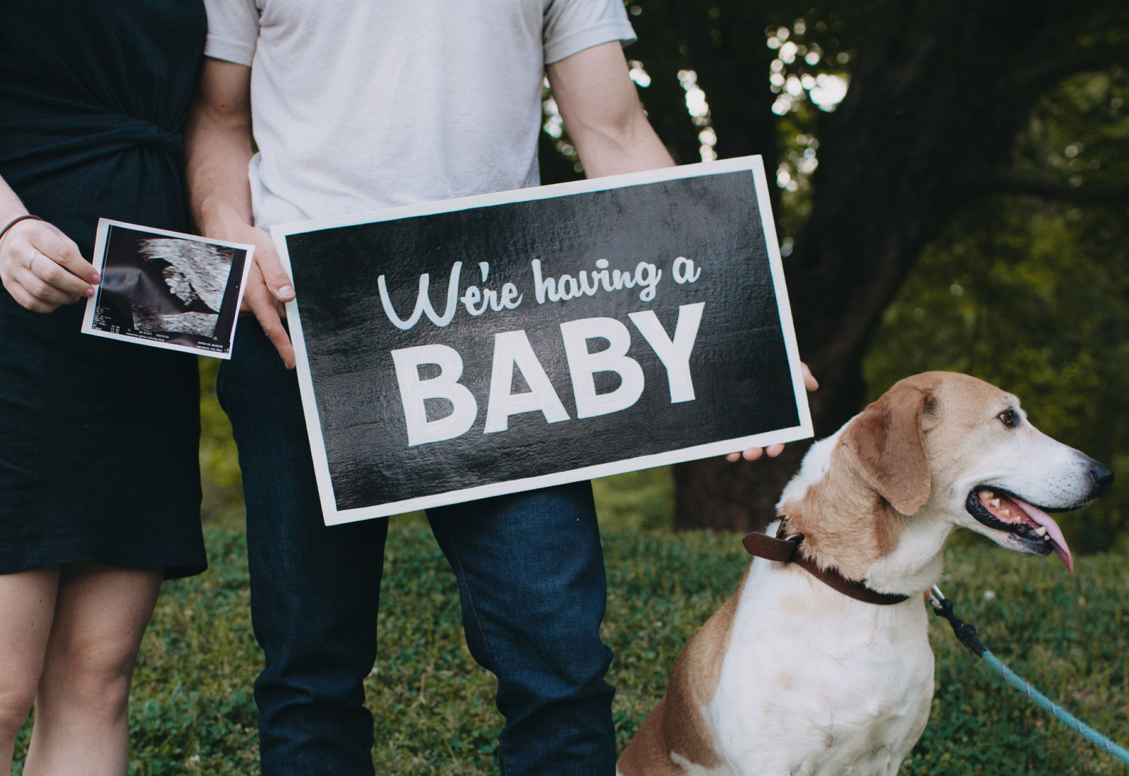 We're Having a Baby - Baby Announcement Sign | Hand Painted Sign by Joey Carty