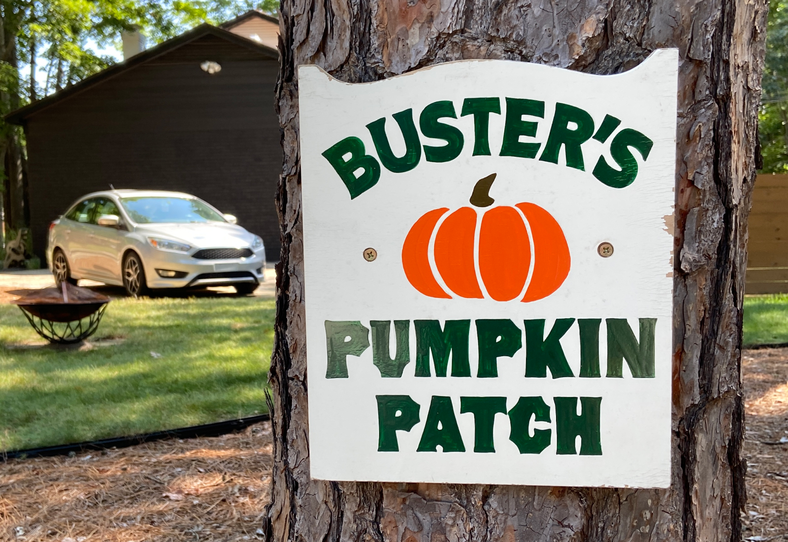 Buster's Pumpkin Patch | Hand Painted Sign by Joey Carty