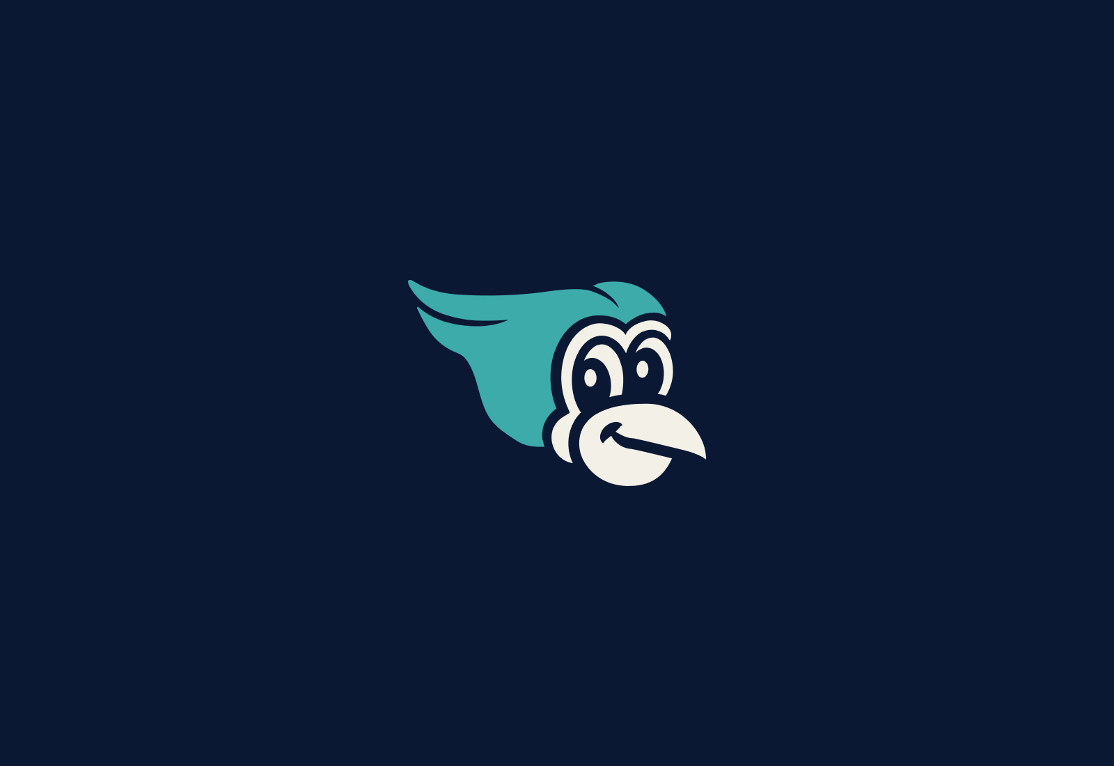 Bird Mascot Illustration | Byrd's Estate Sales and Liquidations | Brand Identity by Joey Carty
